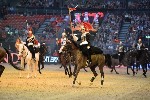 Cavalry - 00124